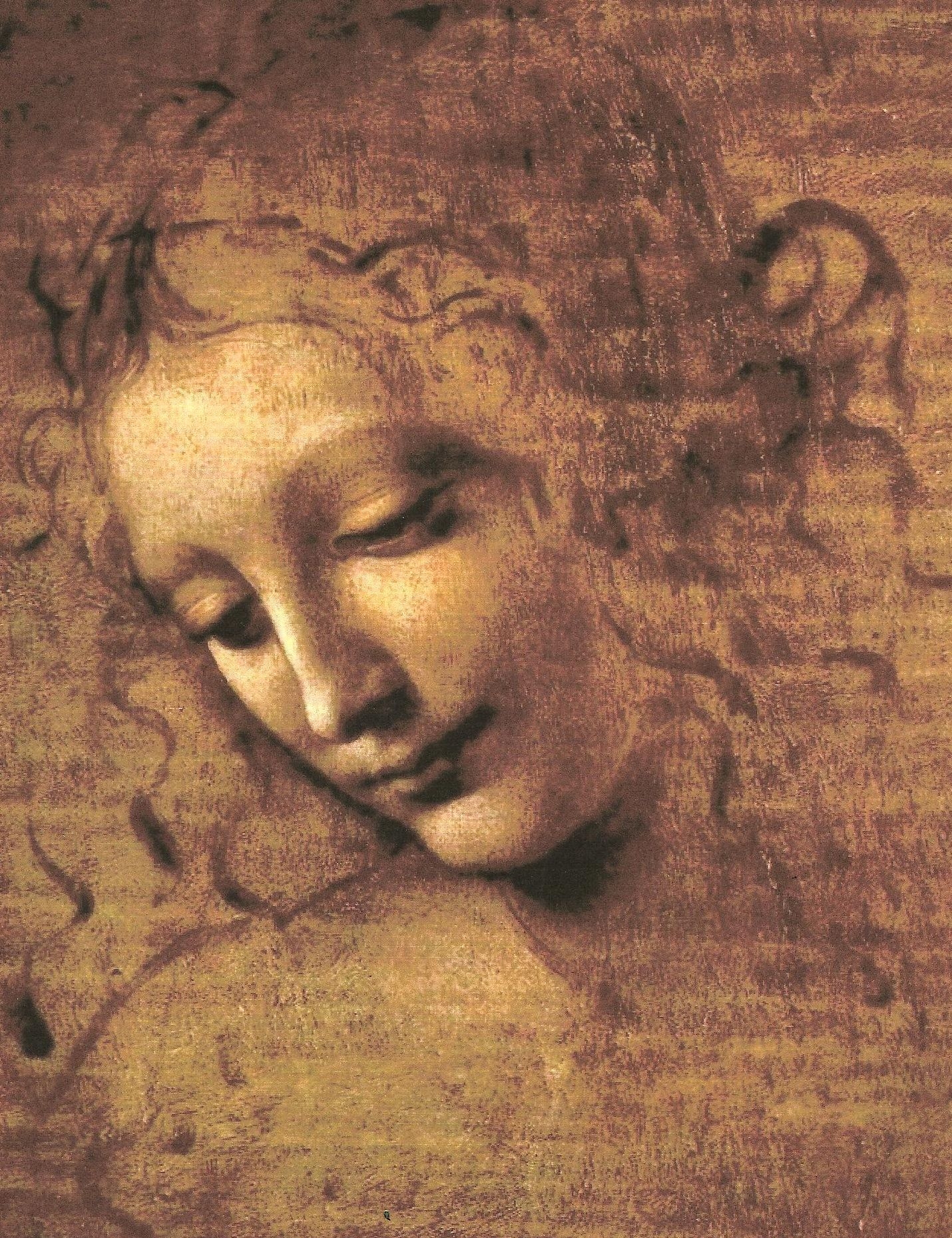 peinture,louvre,léonard de vinci