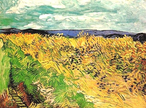 wheat-field-with-cornflowersjuillet-TF.jpg