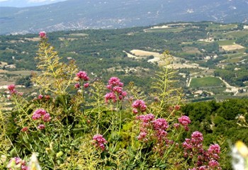 luberon,provence,gordes,bories,saignon,rustrel,roussillon