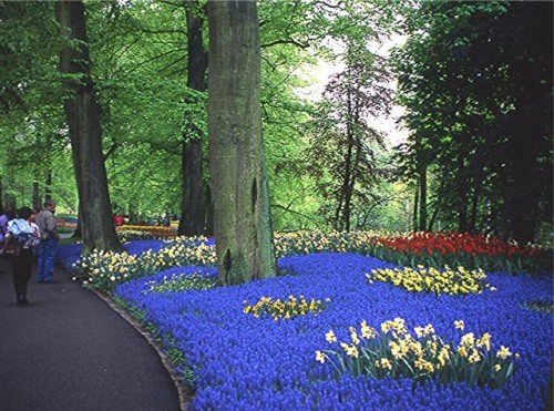 peinture,hollande