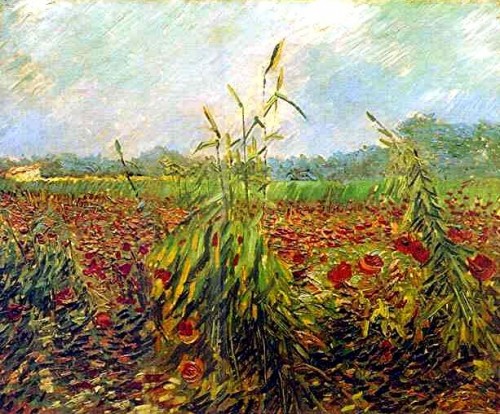 peinture,van gogh,arles,blés