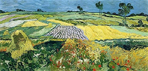 fields-near-auvers.jpg