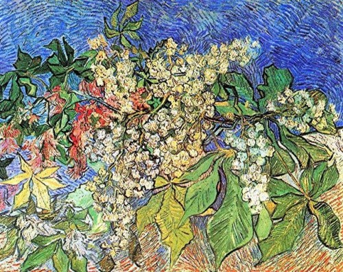 branche-de-marronier-en-fleurs.jpg