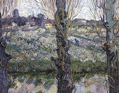 peinture,van gogh,arles