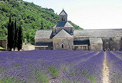 luberon,provence,gordes,bories,saignon,rustrel,roussillon