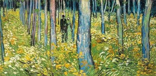 a-couple-walking-in-the-forest.jpg
